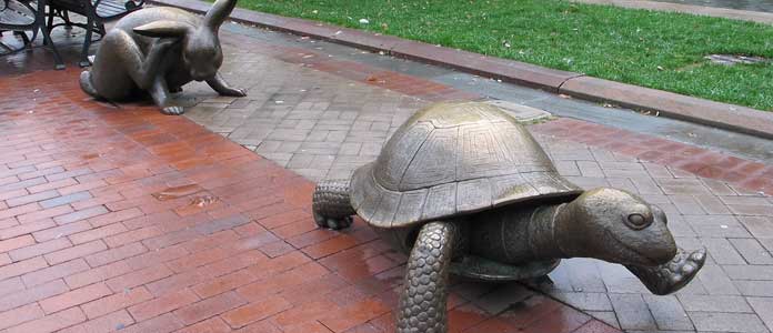 Sculpture of a tortise and a hare